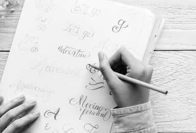 完美国际飞天猪/完美国际飞天猪进化